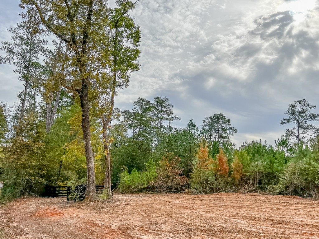 013 CR 2307 , Cleveland, TX, 77327 | 20238281 | Realty Texas LLC