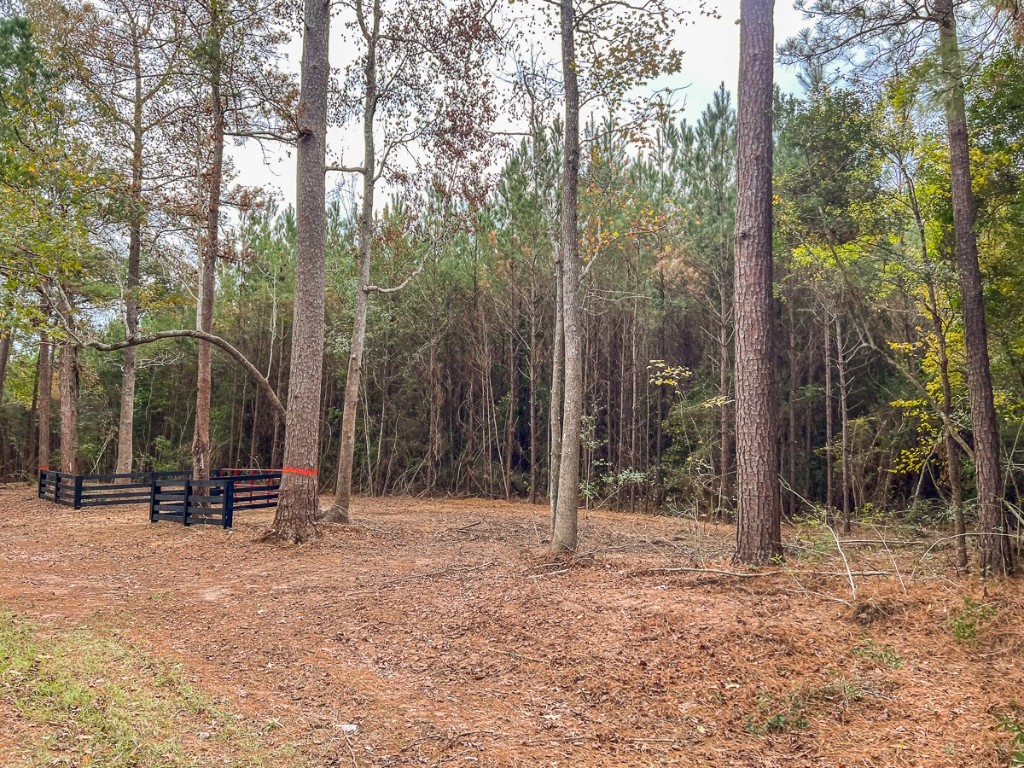 013 CR 2307 , Cleveland, TX, 77327 | 20238281 | Realty Texas LLC
