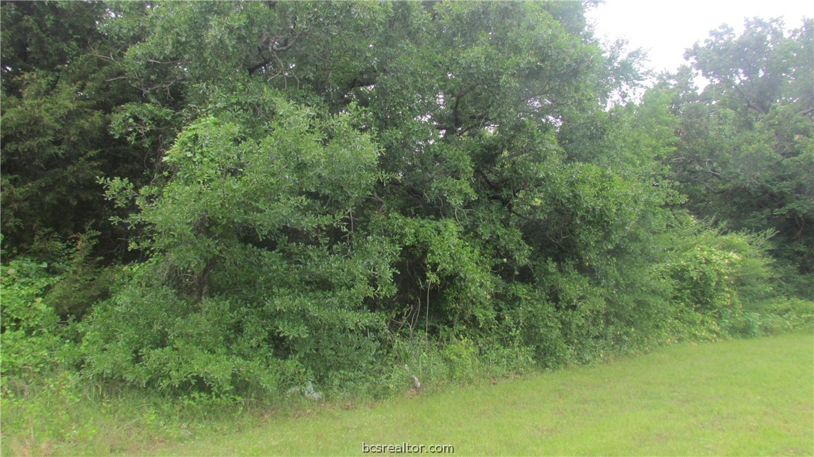 1015 W Villa Maria Road W , Bryan, TX, 77801 | 23000511 | Realty Texas LLC