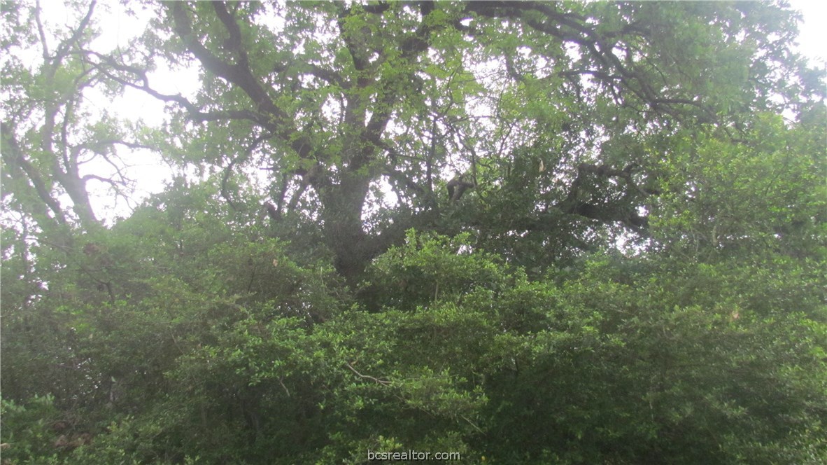 1015 W Villa Maria Road W , Bryan, TX, 77801 | 23000511 | Realty Texas LLC