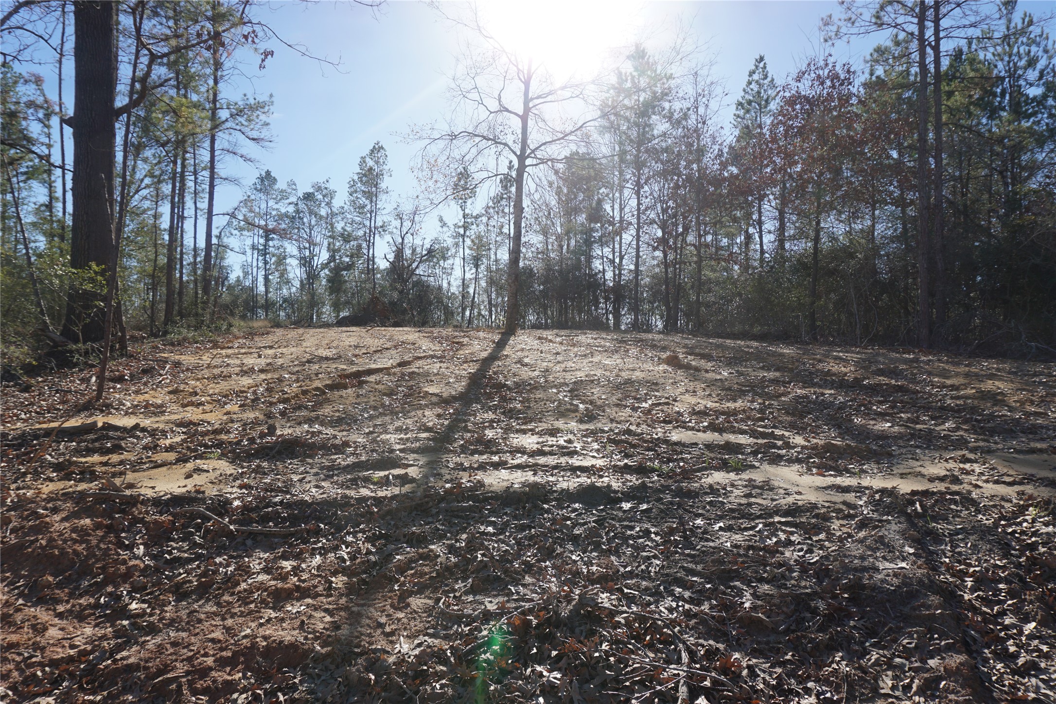 9301 Private Road 2851 Tract 2 , Buffalo, TX, 75831 | 10546210 | Realty Texas LLC