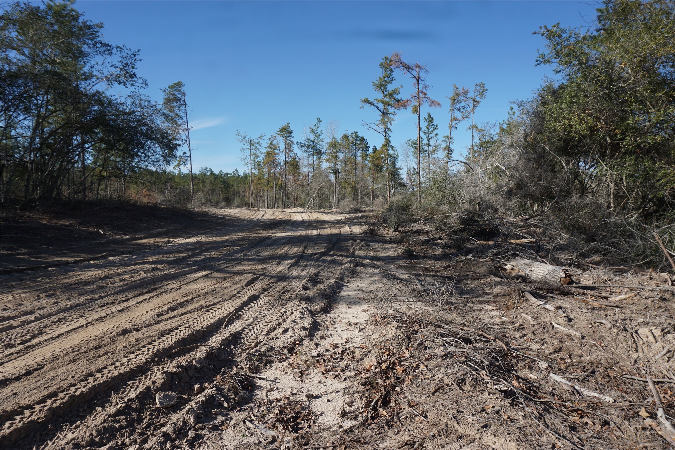 9301 Private Road 2851 Tract 2 , Buffalo, TX, 75831 | 10546210 | Realty Texas LLC