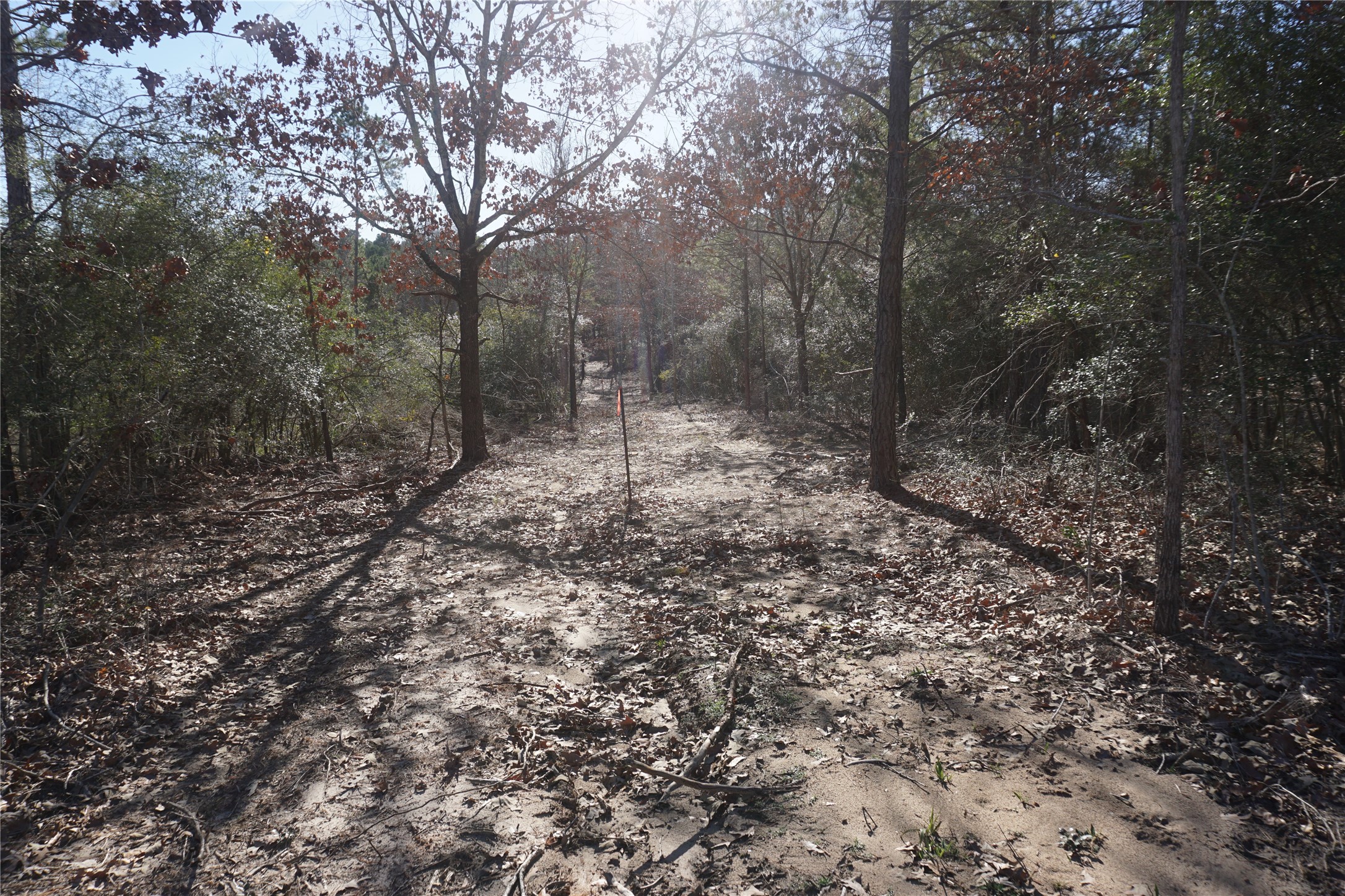9301 Private Road 2851 Tract 2 , Buffalo, TX, 75831 | 10546210 | Realty Texas LLC