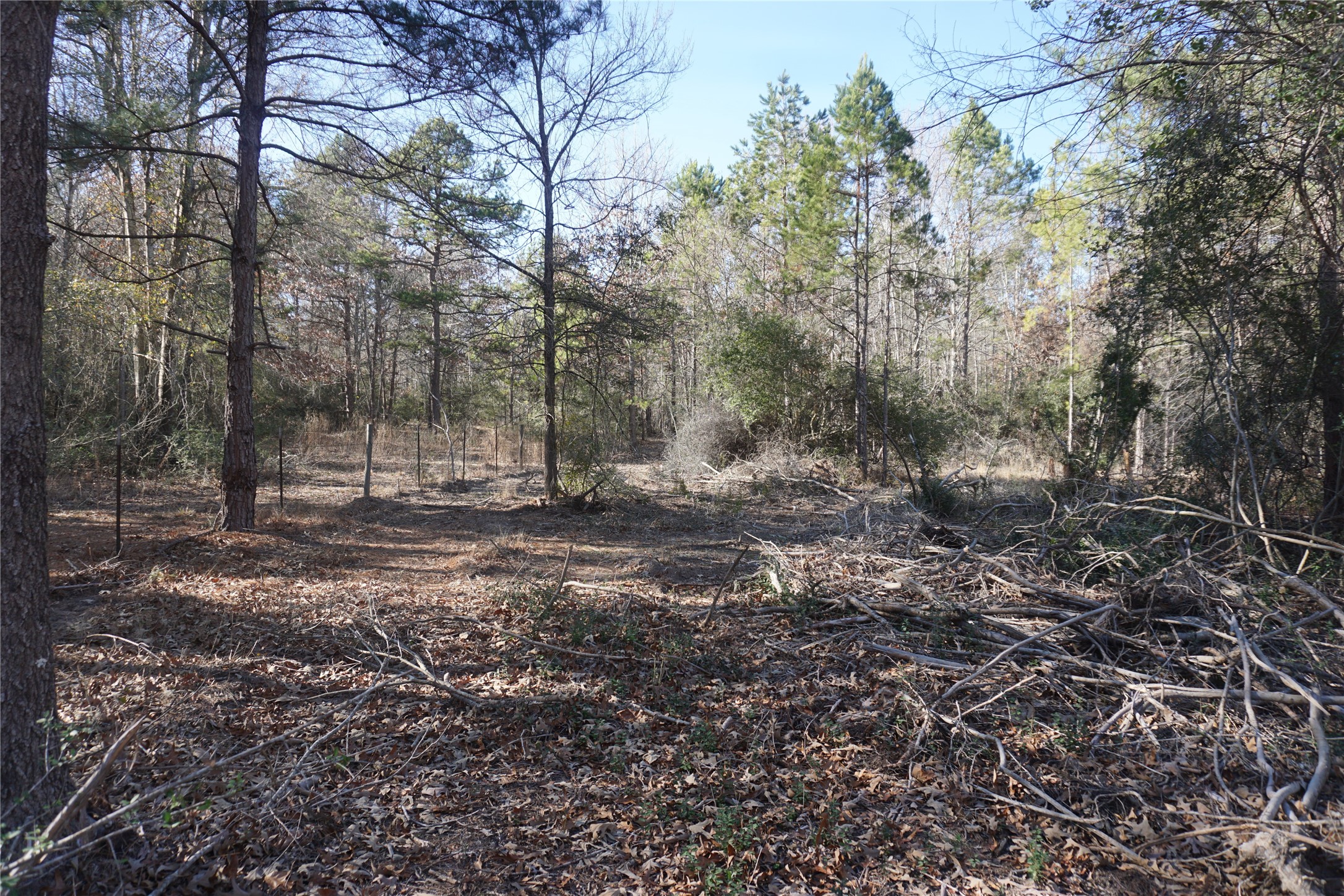 9301 Private Road 2851 Tract 2 , Buffalo, TX, 75831 | 10546210 | Realty Texas LLC