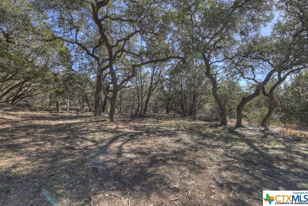 995 Five Oaks Circle , Canyon Lake, TX, 78133 | 495921 | Realty Texas LLC