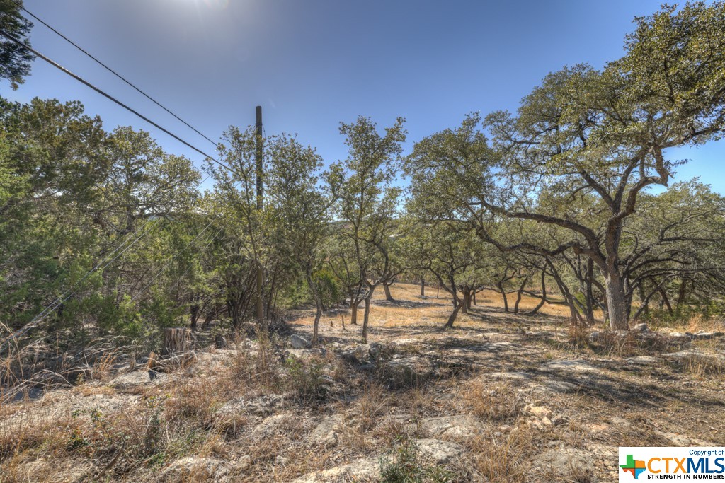 995 Five Oaks Circle , Canyon Lake, TX, 78133 | 495921 | Realty Texas LLC