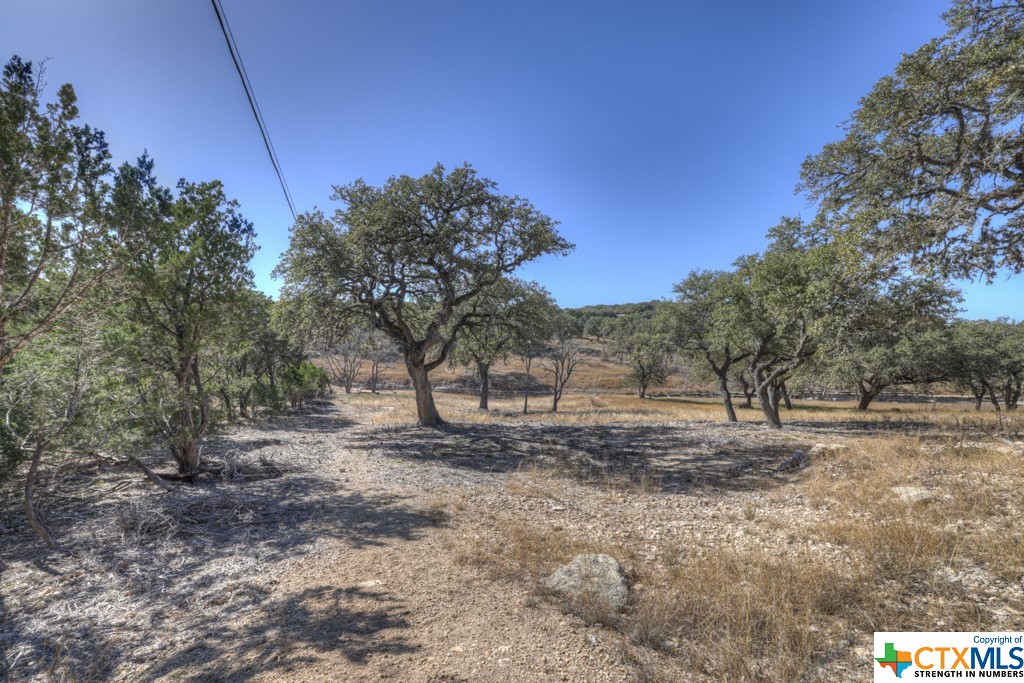 995 Five Oaks Circle , Canyon Lake, TX, 78133 | 495921 | Realty Texas LLC