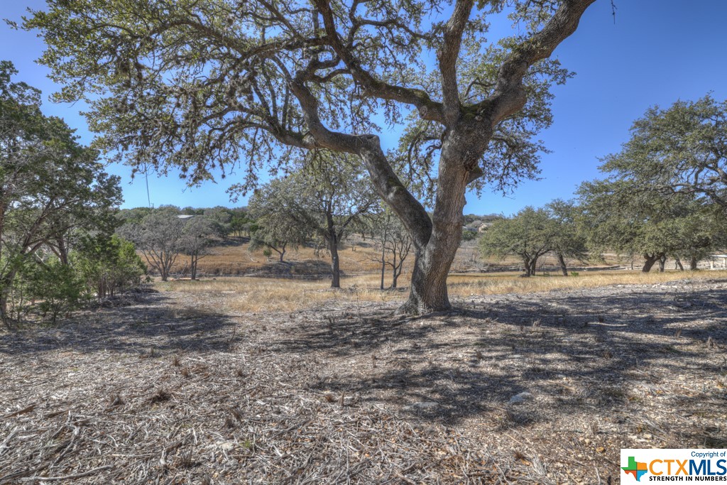 995 Five Oaks Circle , Canyon Lake, TX, 78133 | 495921 | Realty Texas LLC