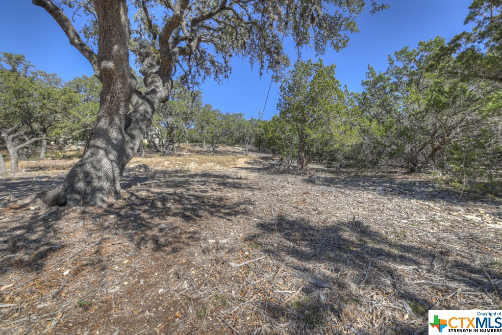 995 Five Oaks Circle , Canyon Lake, TX, 78133 | 495921 | Realty Texas LLC