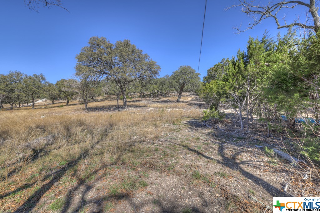 995 Five Oaks Circle , Canyon Lake, TX, 78133 | 495921 | Realty Texas LLC