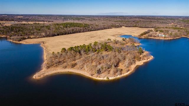 Lot 10 Eagles Nest Circle , Mount Vernon, TX, 75457 | 20245073 | Realty Texas LLC