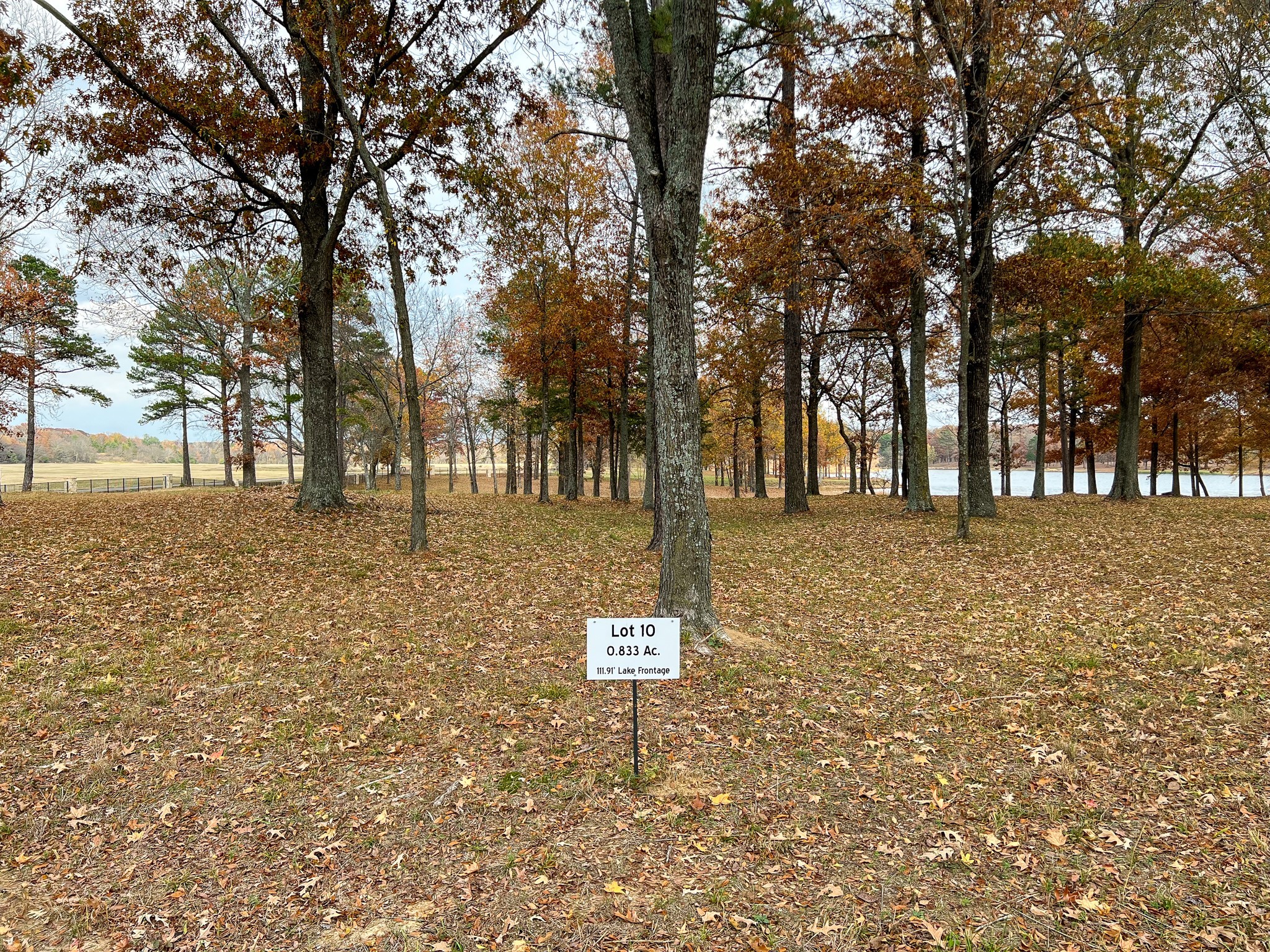 Lot 10 Eagles Nest Circle , Mount Vernon, TX, 75457 | 20245073 | Realty Texas LLC