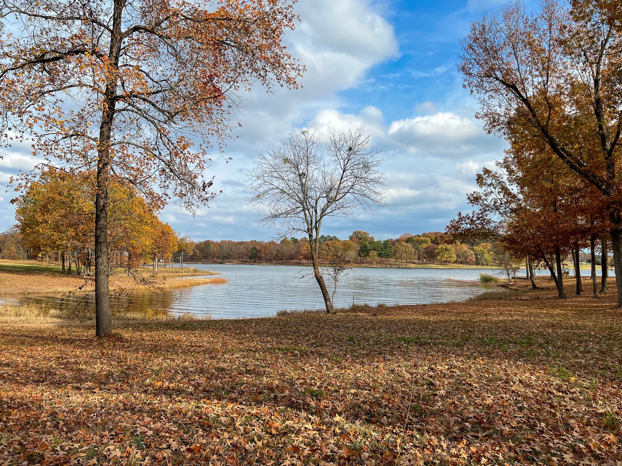 Lot 10 Eagles Nest Circle , Mount Vernon, TX, 75457 | 20245073 | Realty Texas LLC