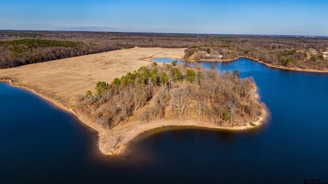 Lot 10 Eagles Nest Circle , Mount Vernon, TX, 75457 | 20245073 | Realty Texas LLC