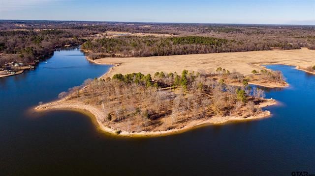 Lot 10 Eagles Nest Circle , Mount Vernon, TX, 75457 | 20245073 | Realty Texas LLC