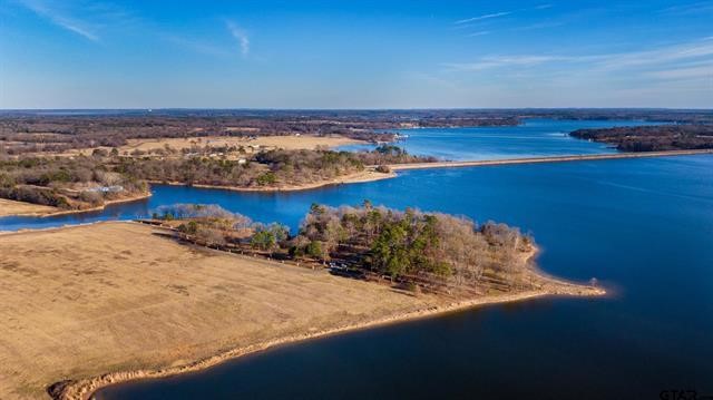 Lot 10 Eagles Nest Circle , Mount Vernon, TX, 75457 | 20245073 | Realty Texas LLC