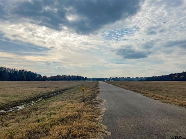 Lot 10 Eagles Nest Circle , Mount Vernon, TX, 75457 | 20245073 | Realty Texas LLC