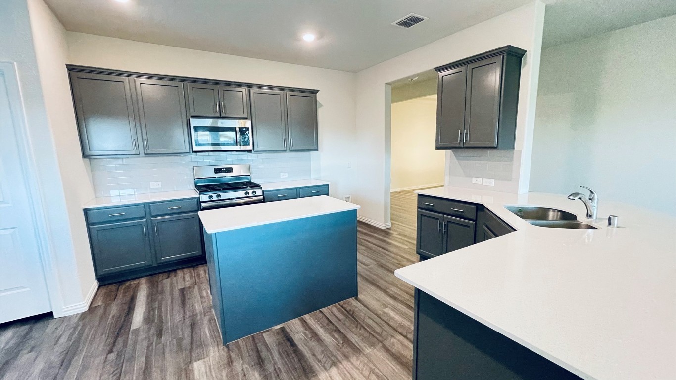 1308 Renoir Drive , Little Elm, TX, 75068 | 20245646 | Realty Texas LLC