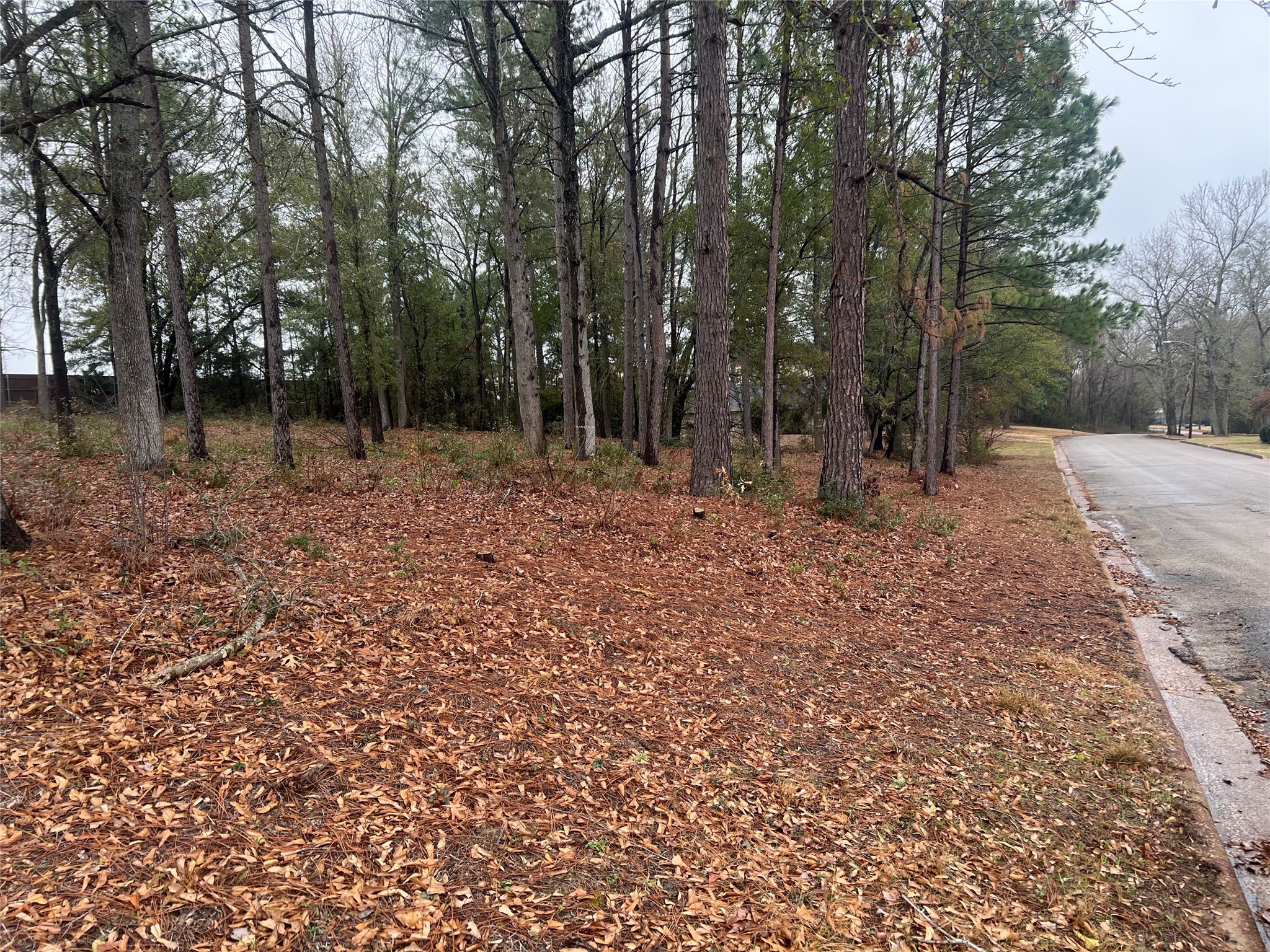 102 Wesley Drive , Palestine, TX, 75801 | 20257615 | Realty Texas LLC