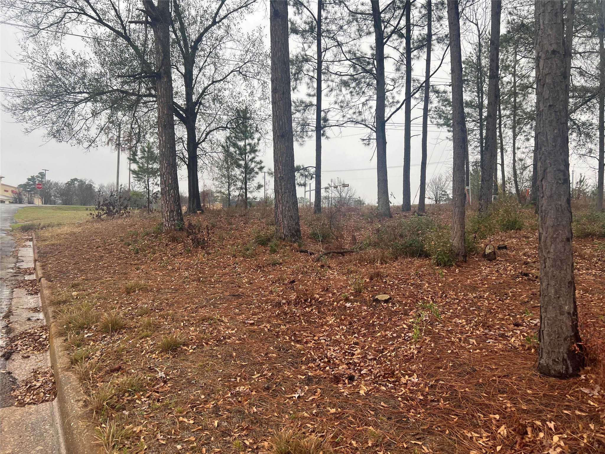 102 Wesley Drive , Palestine, TX, 75801 | 20257615 | Realty Texas LLC