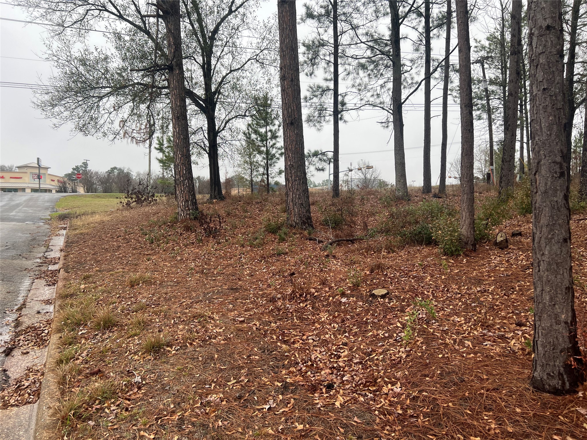 102 Wesley Drive , Palestine, TX, 75801 | 20257615 | Realty Texas LLC