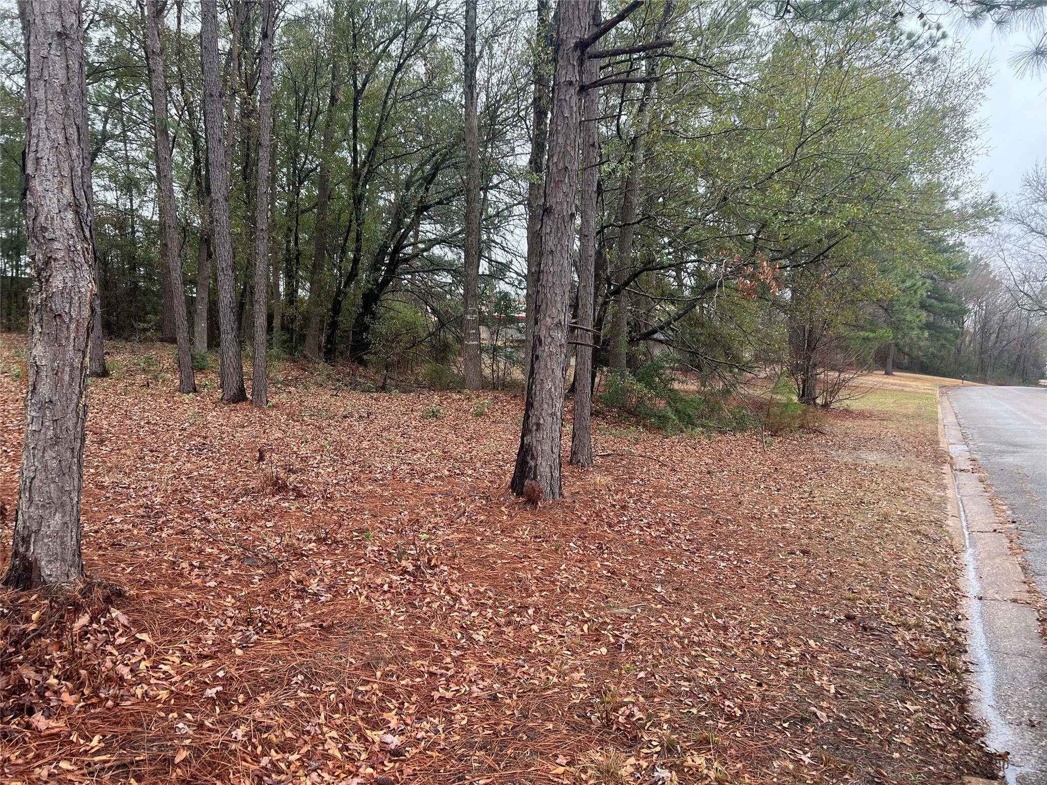 102 Wesley Drive , Palestine, TX, 75801 | 20257615 | Realty Texas LLC