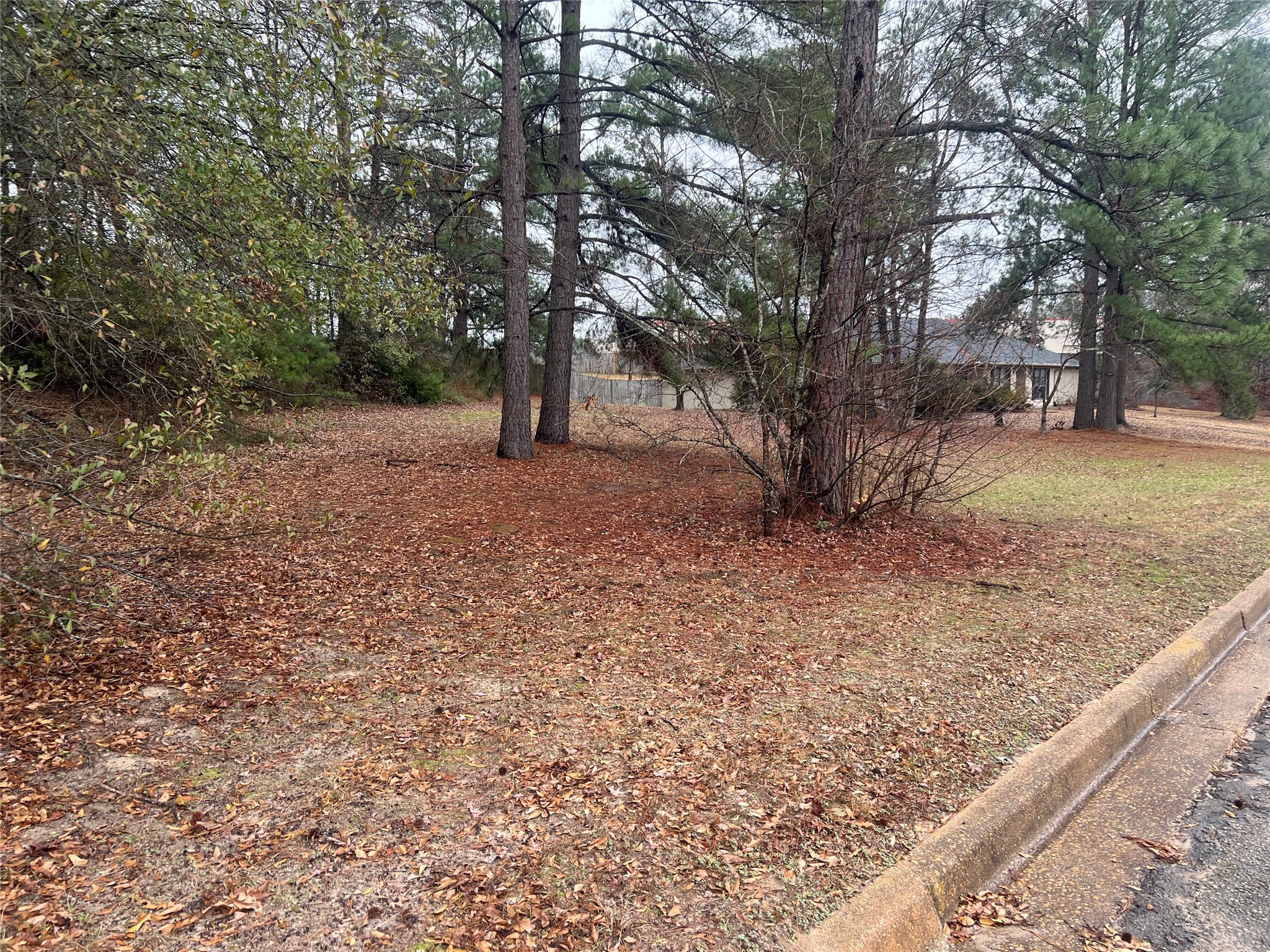 102 Wesley Drive , Palestine, TX, 75801 | 20257615 | Realty Texas LLC