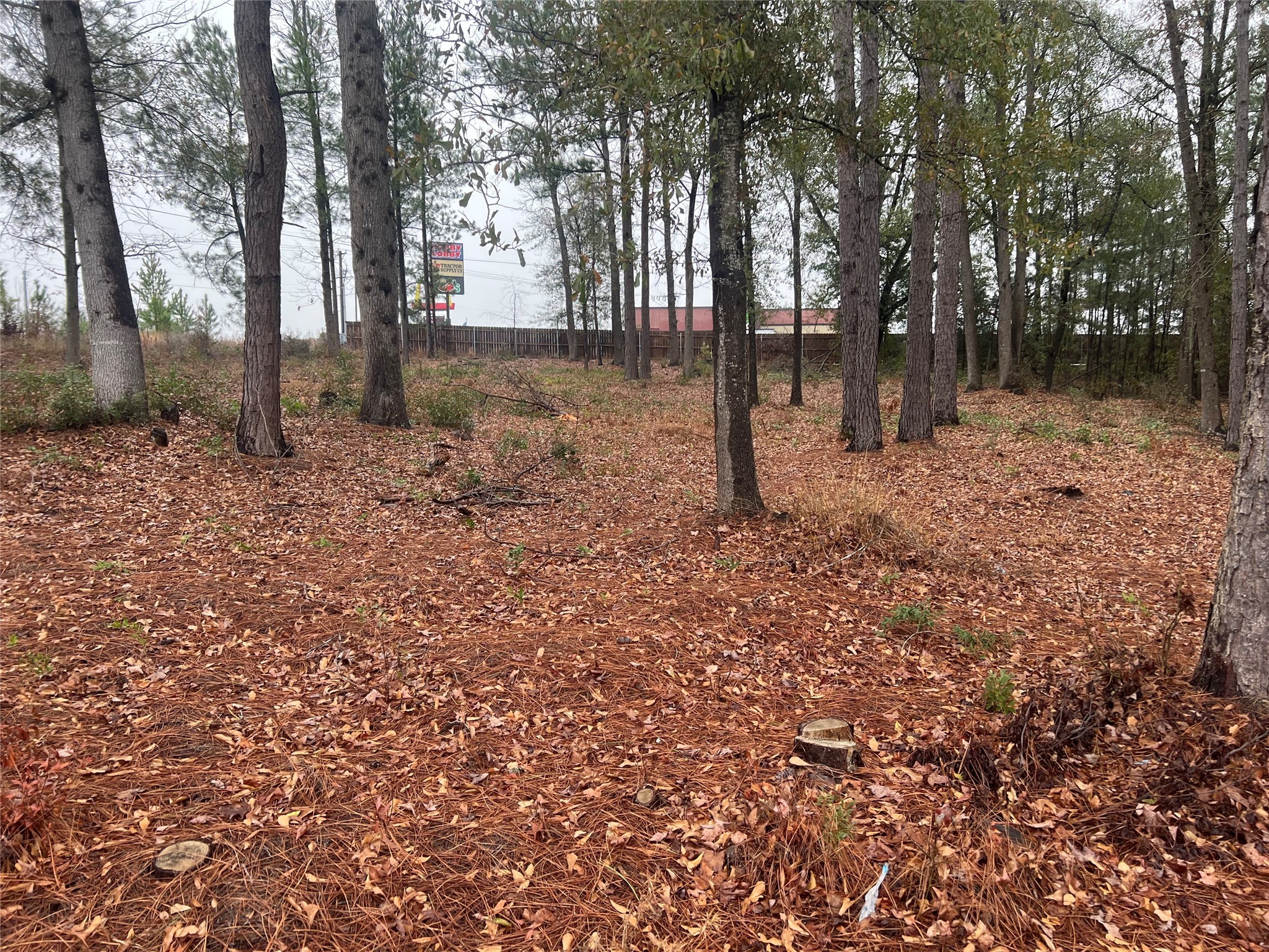 102 Wesley Drive , Palestine, TX, 75801 | 20257615 | Realty Texas LLC