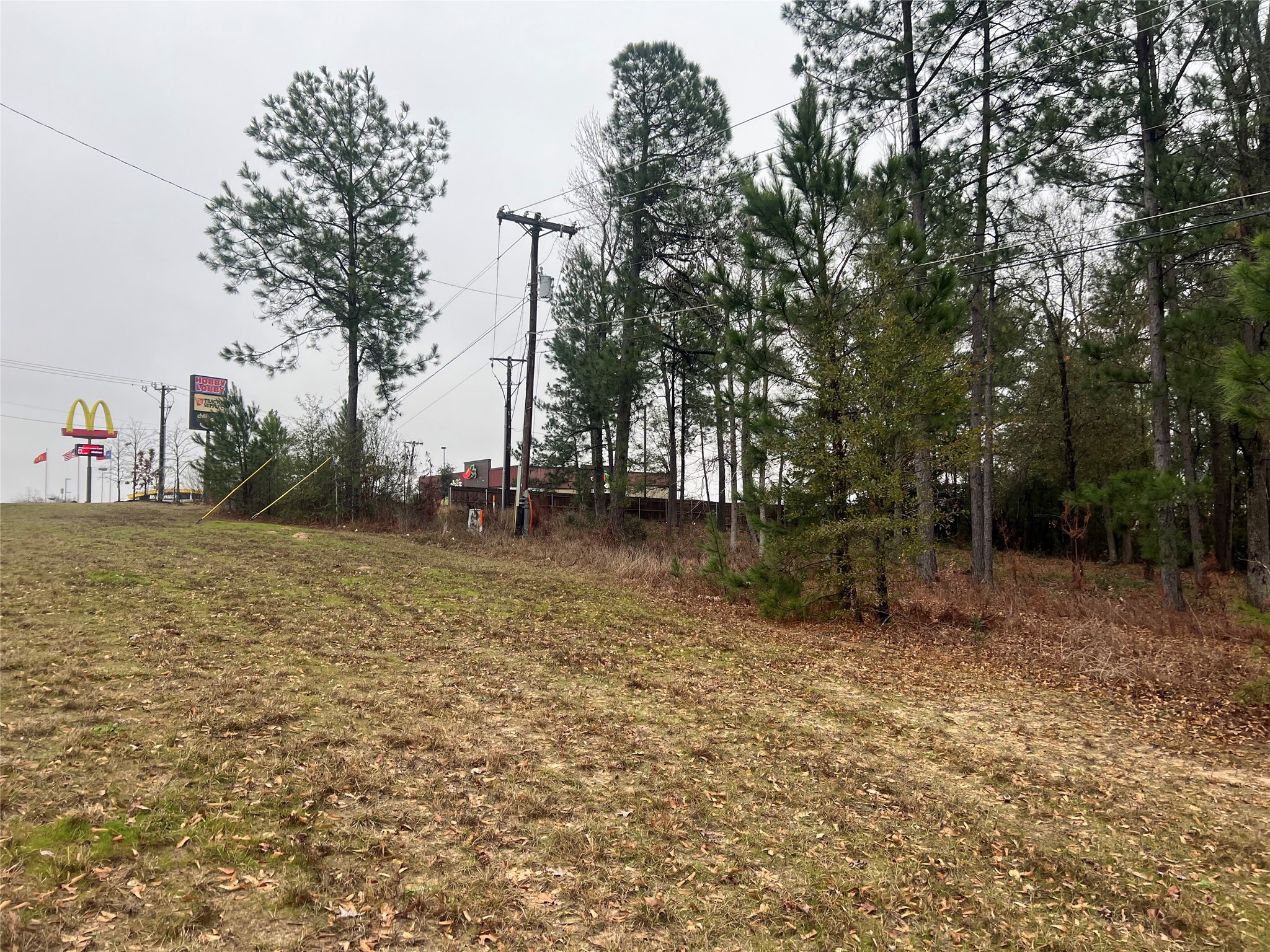 102 Wesley Drive , Palestine, TX, 75801 | 20257615 | Realty Texas LLC