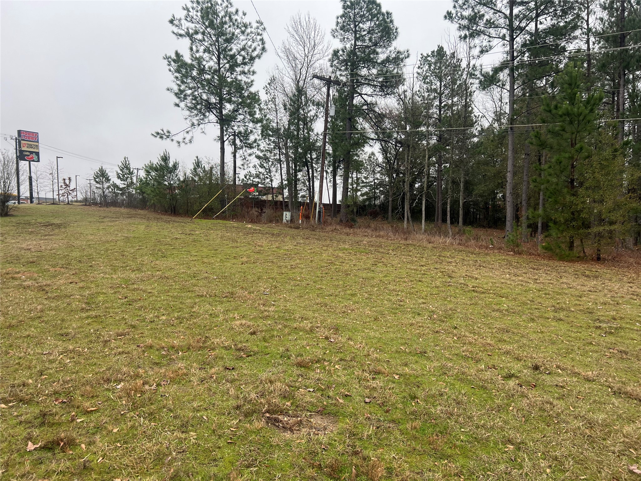 102 Wesley Drive , Palestine, TX, 75801 | 20257615 | Realty Texas LLC