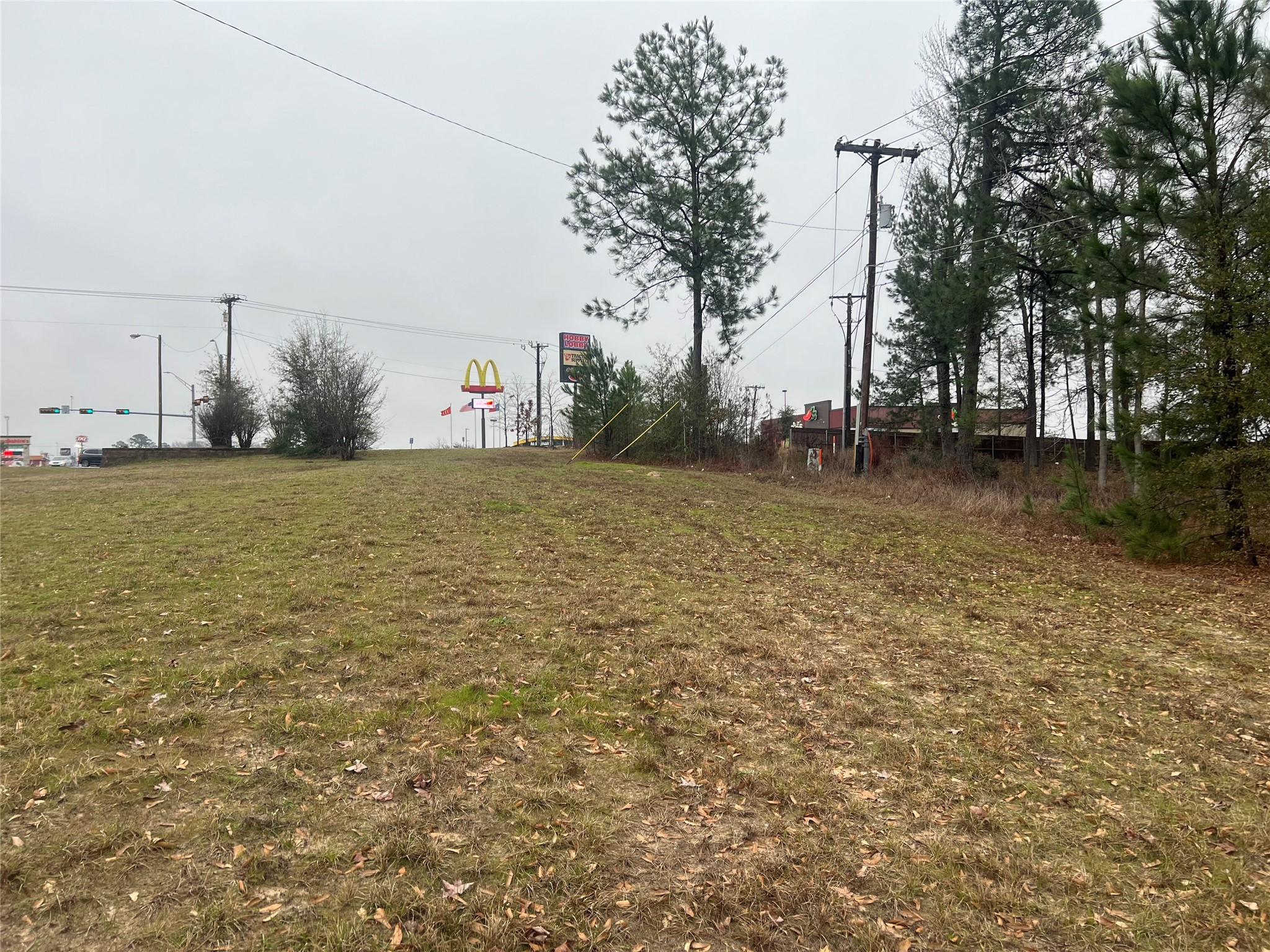 102 Wesley Drive , Palestine, TX, 75801 | 20257615 | Realty Texas LLC