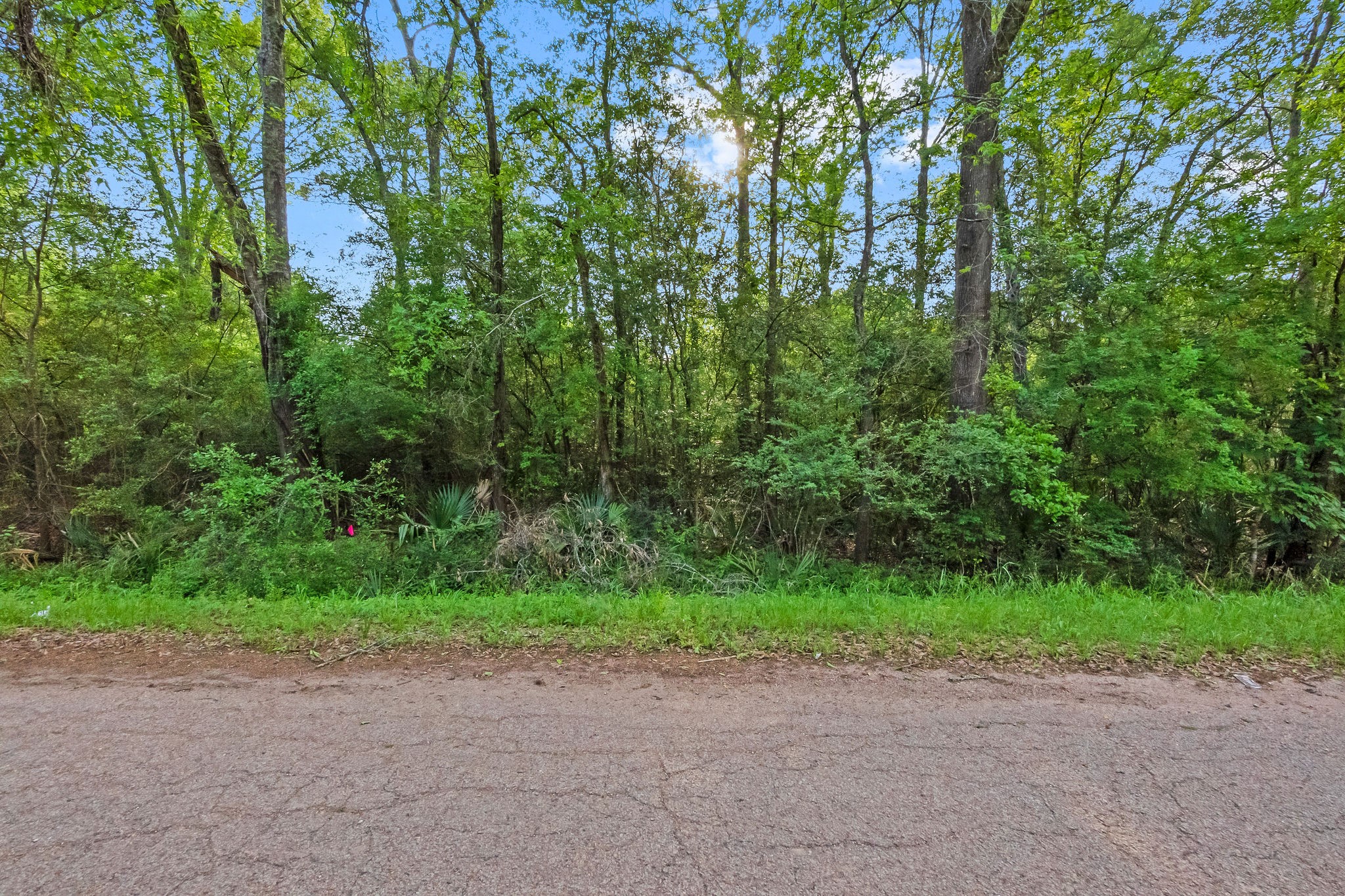 0 W Essex Drive , Conroe, TX, 77302 | 50773722 | Realty Texas LLC