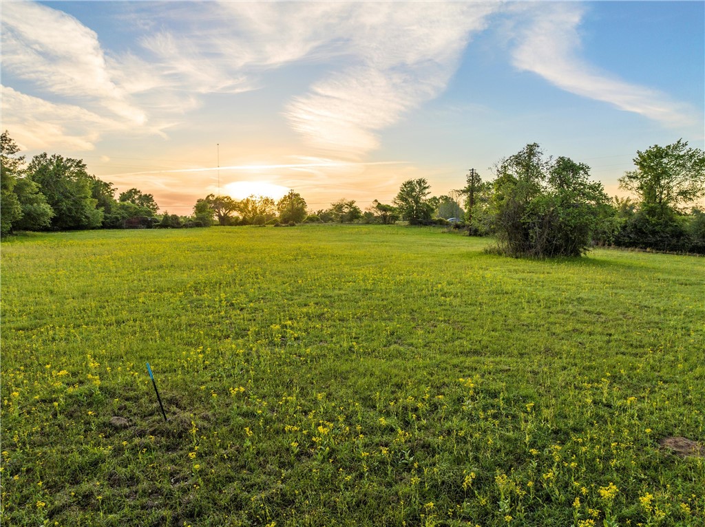 Lot 4 LCR 740 , Thornton, TX, 76687 | 214602 | Realty Texas LLC