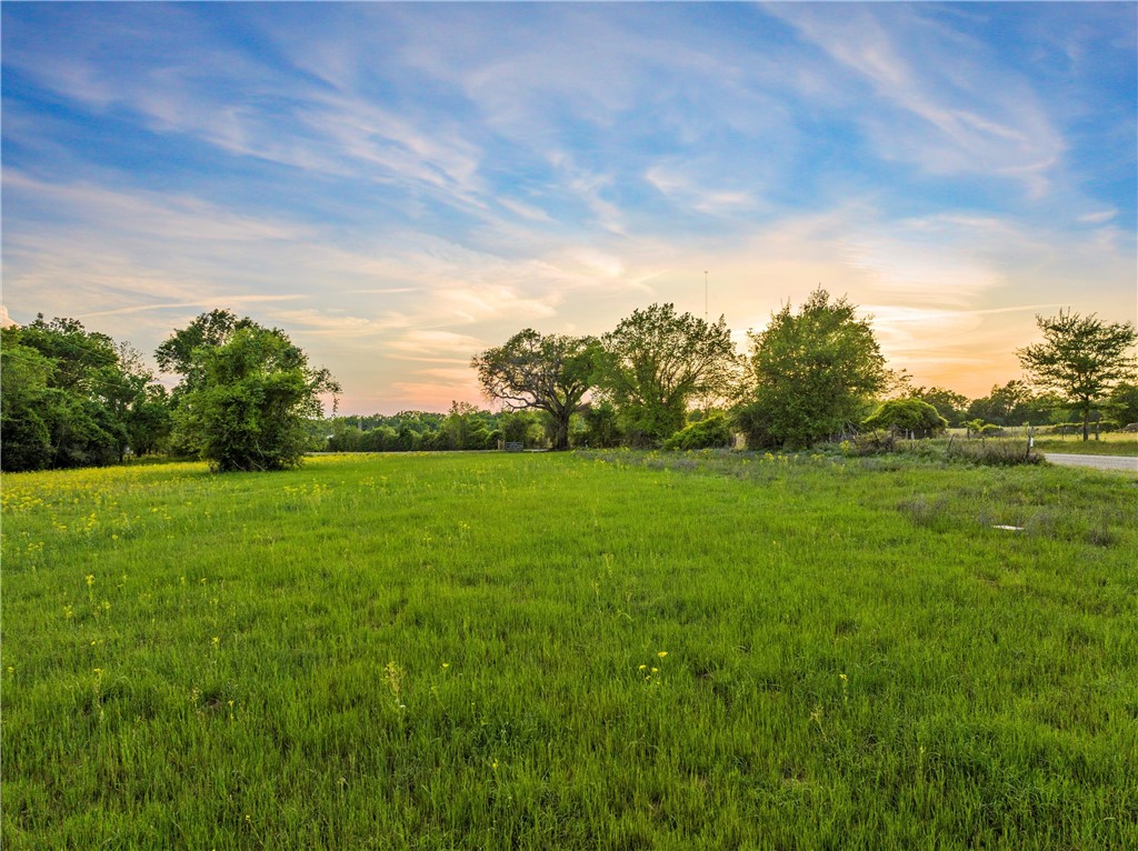 Lot 4 LCR 740 , Thornton, TX, 76687 | 214602 | Realty Texas LLC