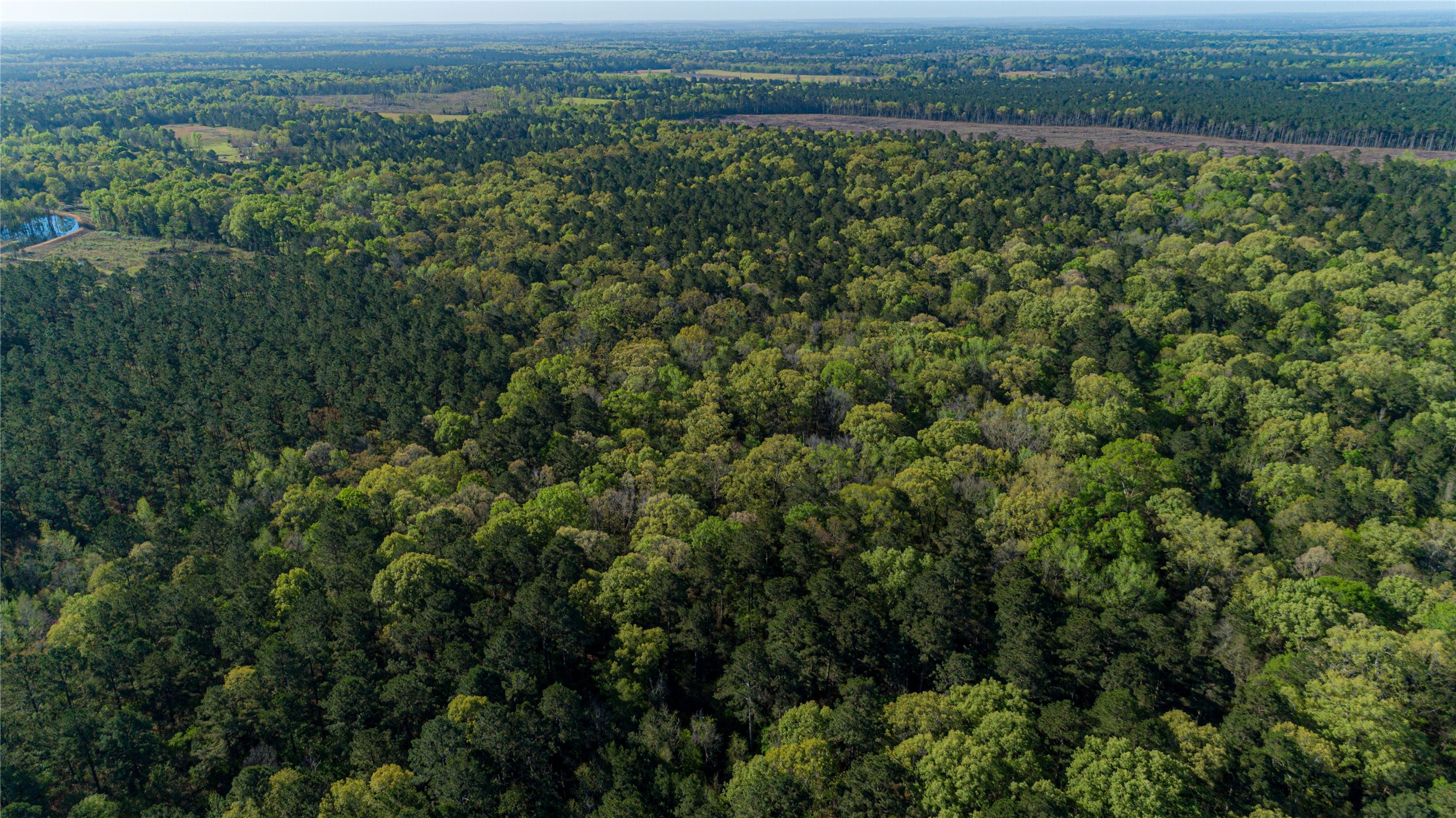 0 Hwy 49 , Jefferson, TX, 75657 | 75917329 | Realty Texas LLC