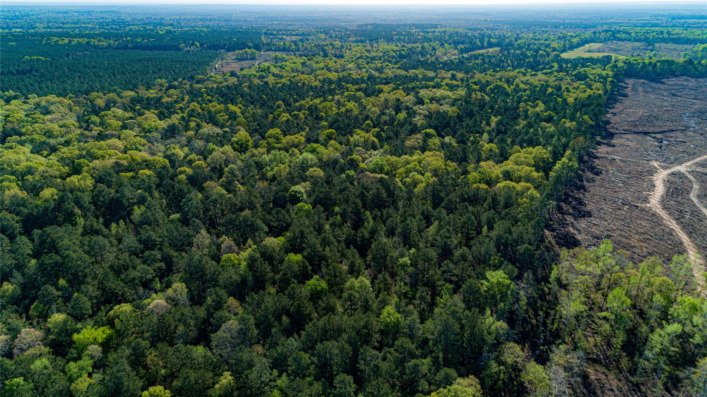 0 Hwy 49 , Jefferson, TX, 75657 | 75917329 | Realty Texas LLC