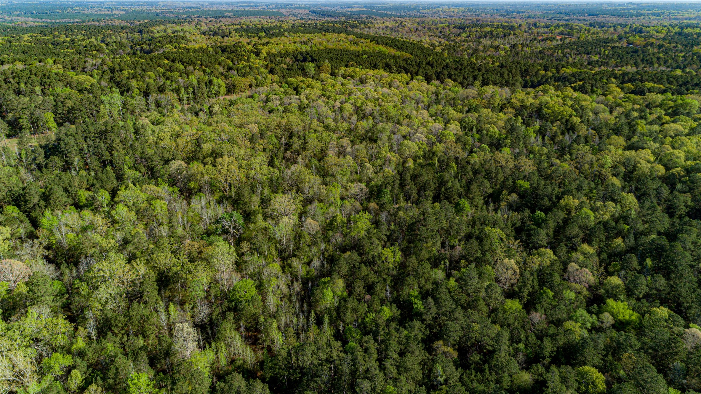 0 Hwy 49 , Jefferson, TX, 75657 | 75917329 | Realty Texas LLC