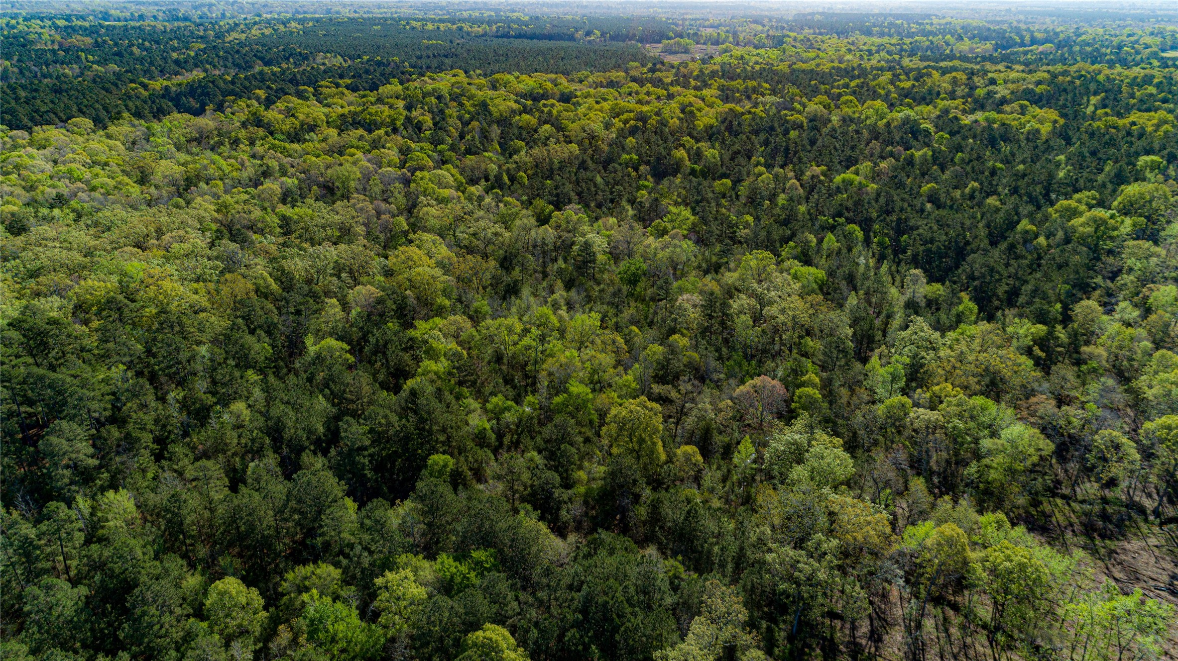 0 Hwy 49 , Jefferson, TX, 75657 | 75917329 | Realty Texas LLC
