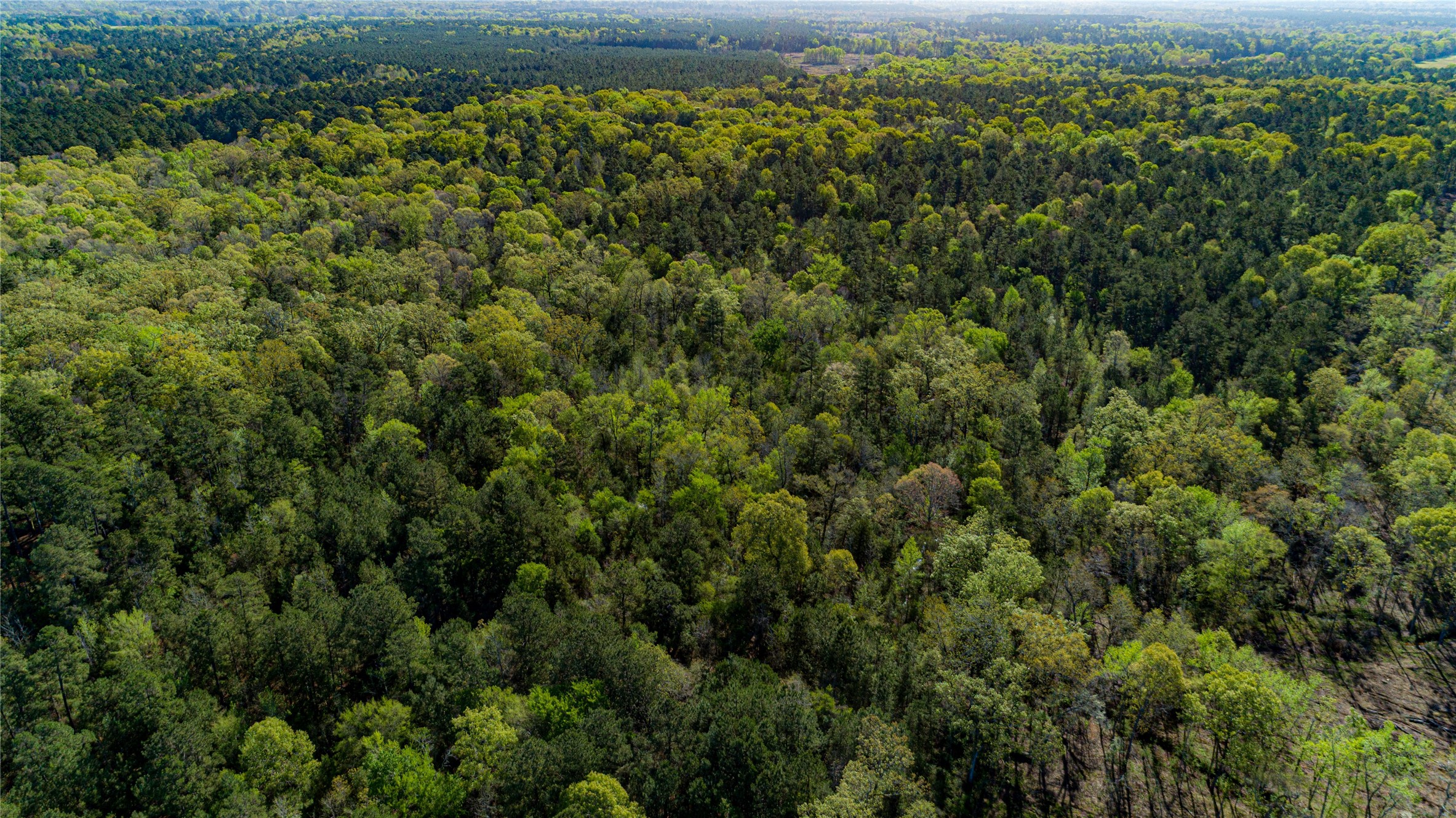 0 Hwy 49 , Jefferson, TX, 75657 | 75917329 | Realty Texas LLC
