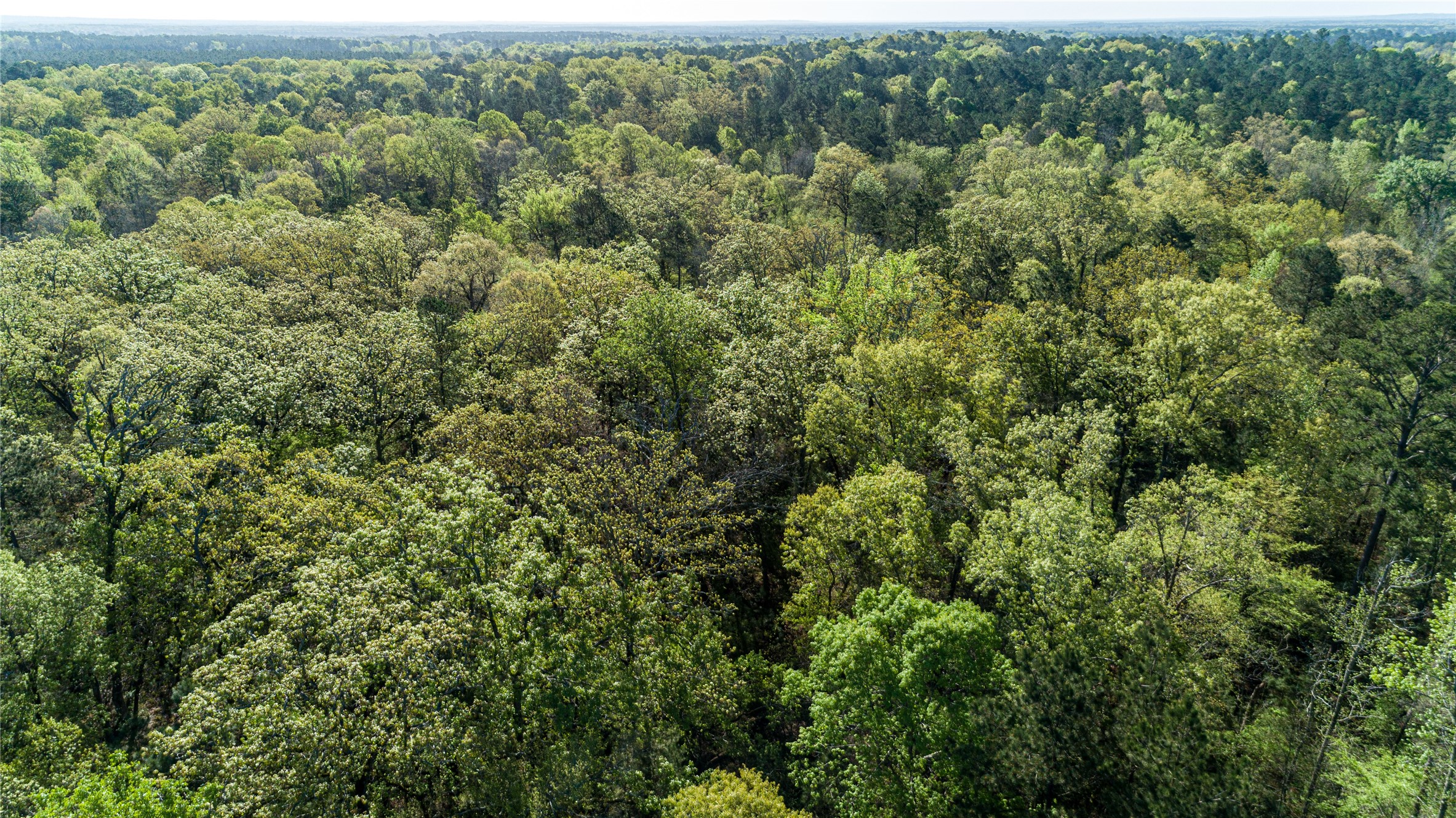 0 Hwy 49 , Jefferson, TX, 75657 | 75917329 | Realty Texas LLC