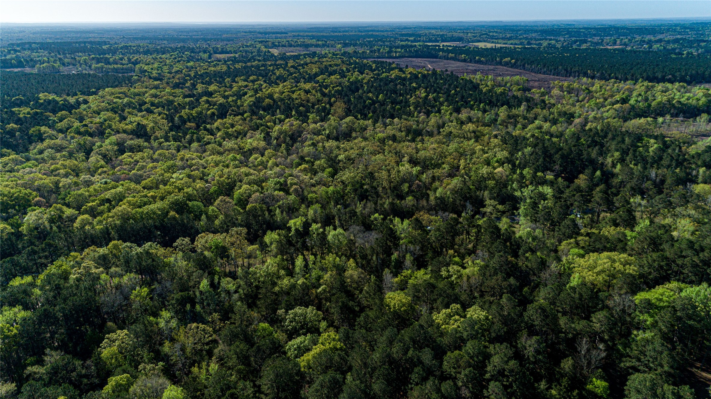 0 Hwy 49 , Jefferson, TX, 75657 | 75917329 | Realty Texas LLC
