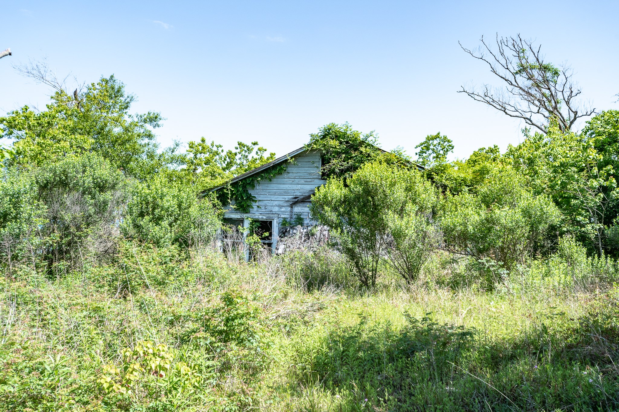 26587 Brice Lane , Splendora, TX, 77372 | 52532632 | Realty Texas LLC