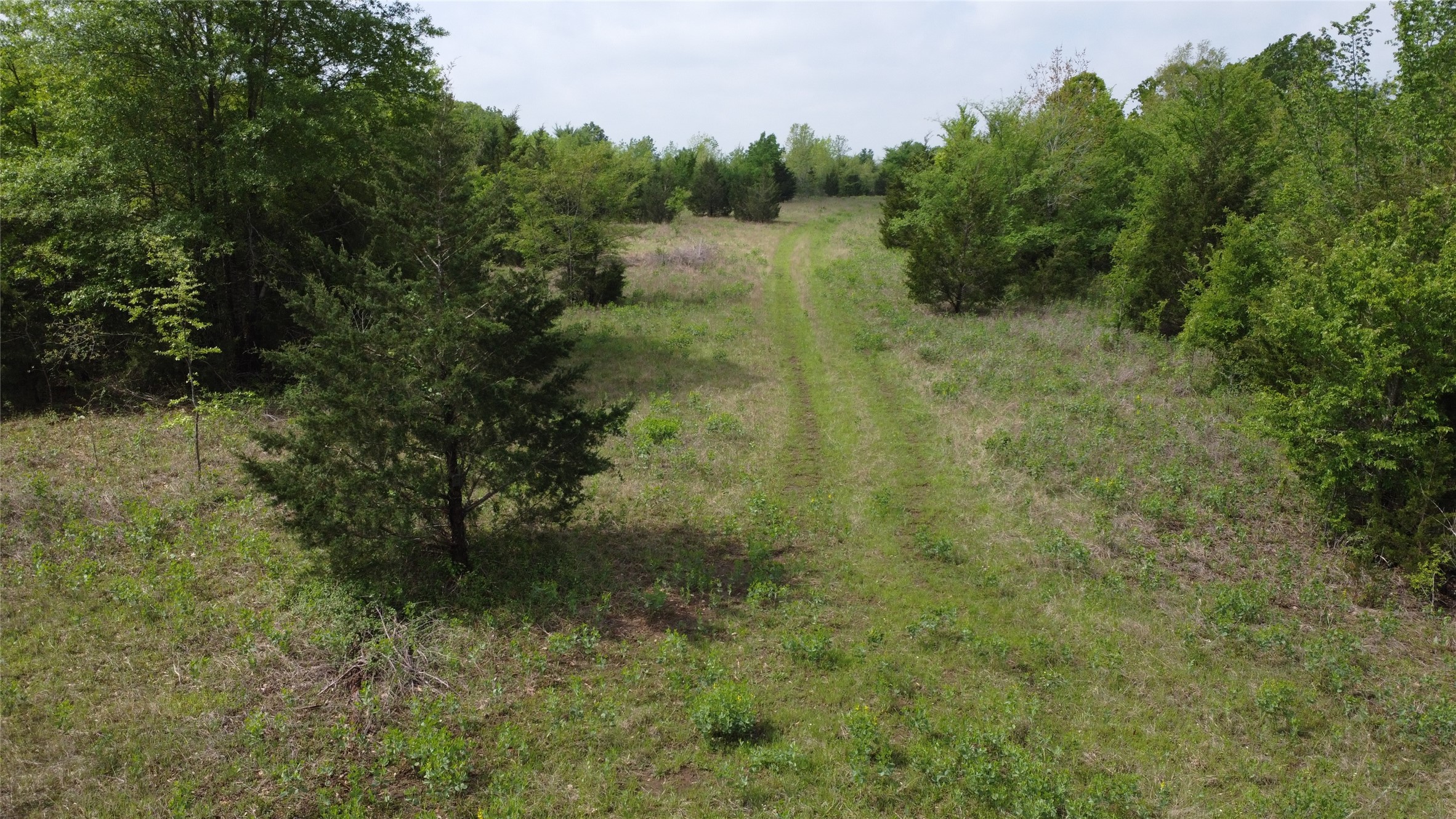 0 FM 71 , Talco, TX, 75487 | 20295257 | Realty Texas LLC