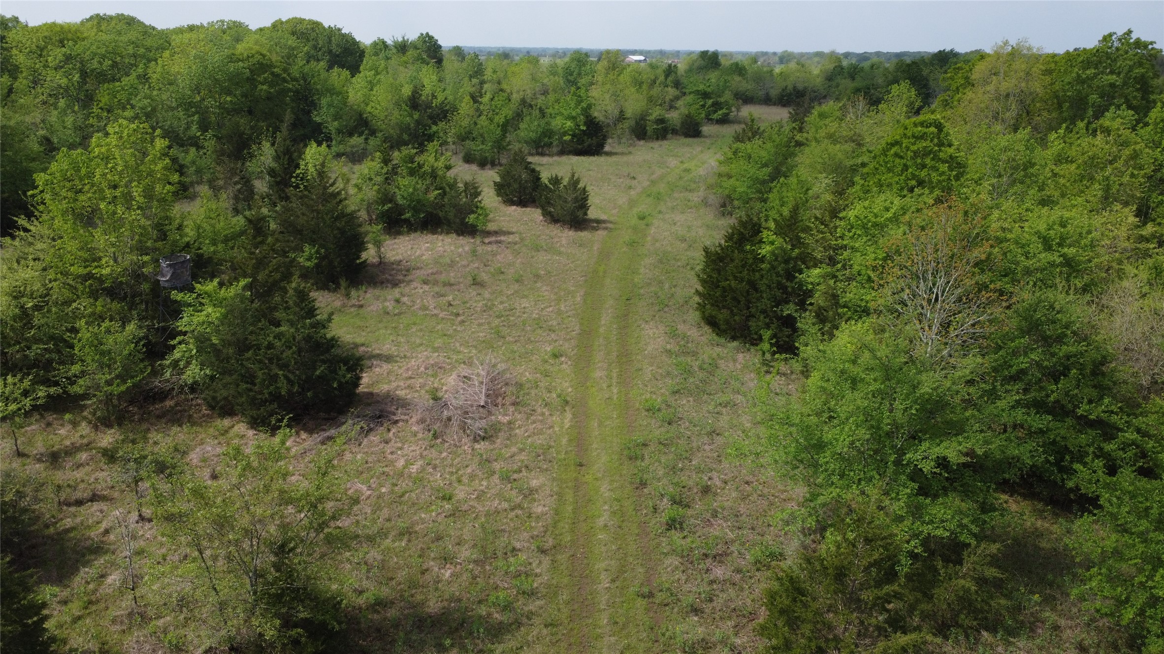 0 FM 71 , Talco, TX, 75487 | 20295257 | Realty Texas LLC