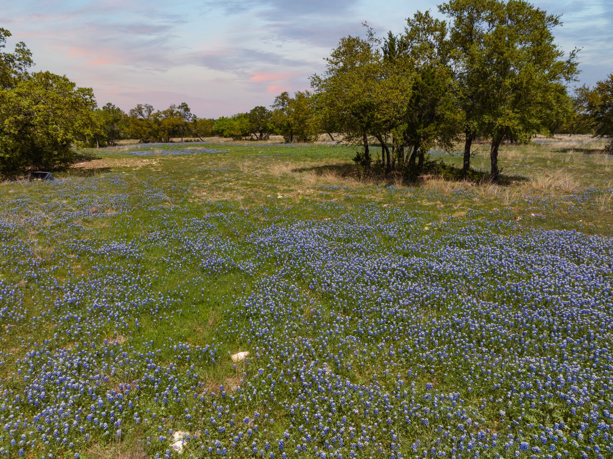 TBD County Road 2140 , Iredell, TX, 76649 | 20295586 | Realty Texas LLC