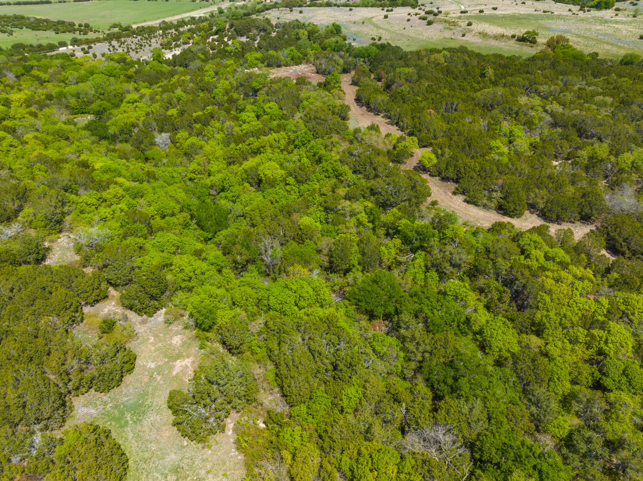 TBD County Road 2140 , Iredell, TX, 76649 | 20295586 | Realty Texas LLC