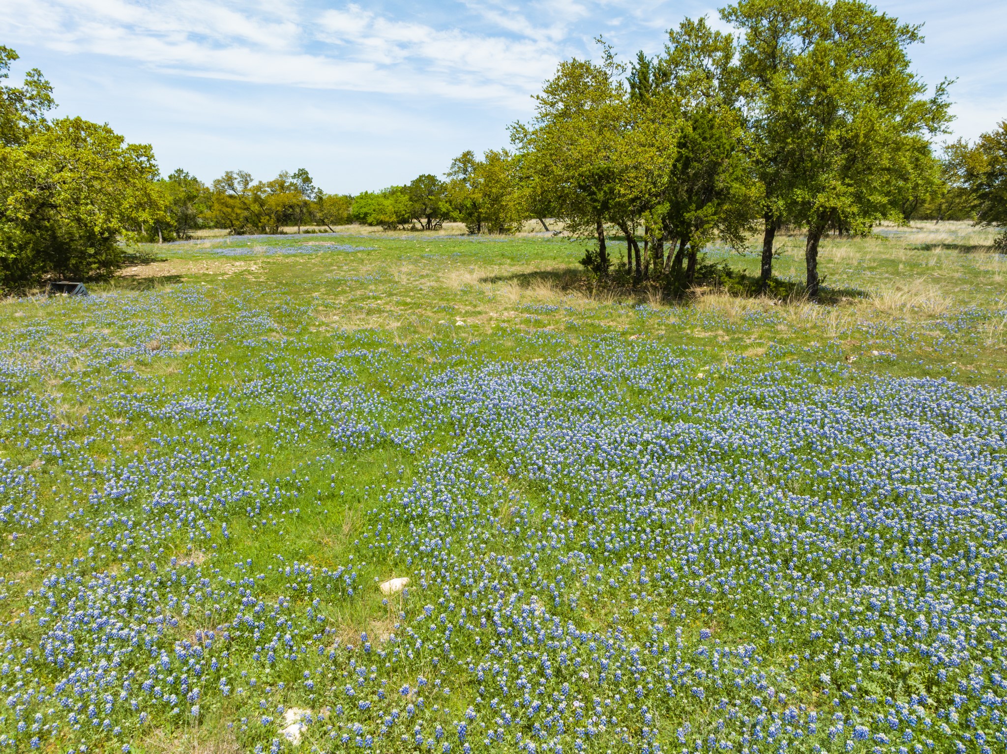 TBD County Road 2140 , Iredell, TX, 76649 | 20295586 | Realty Texas LLC