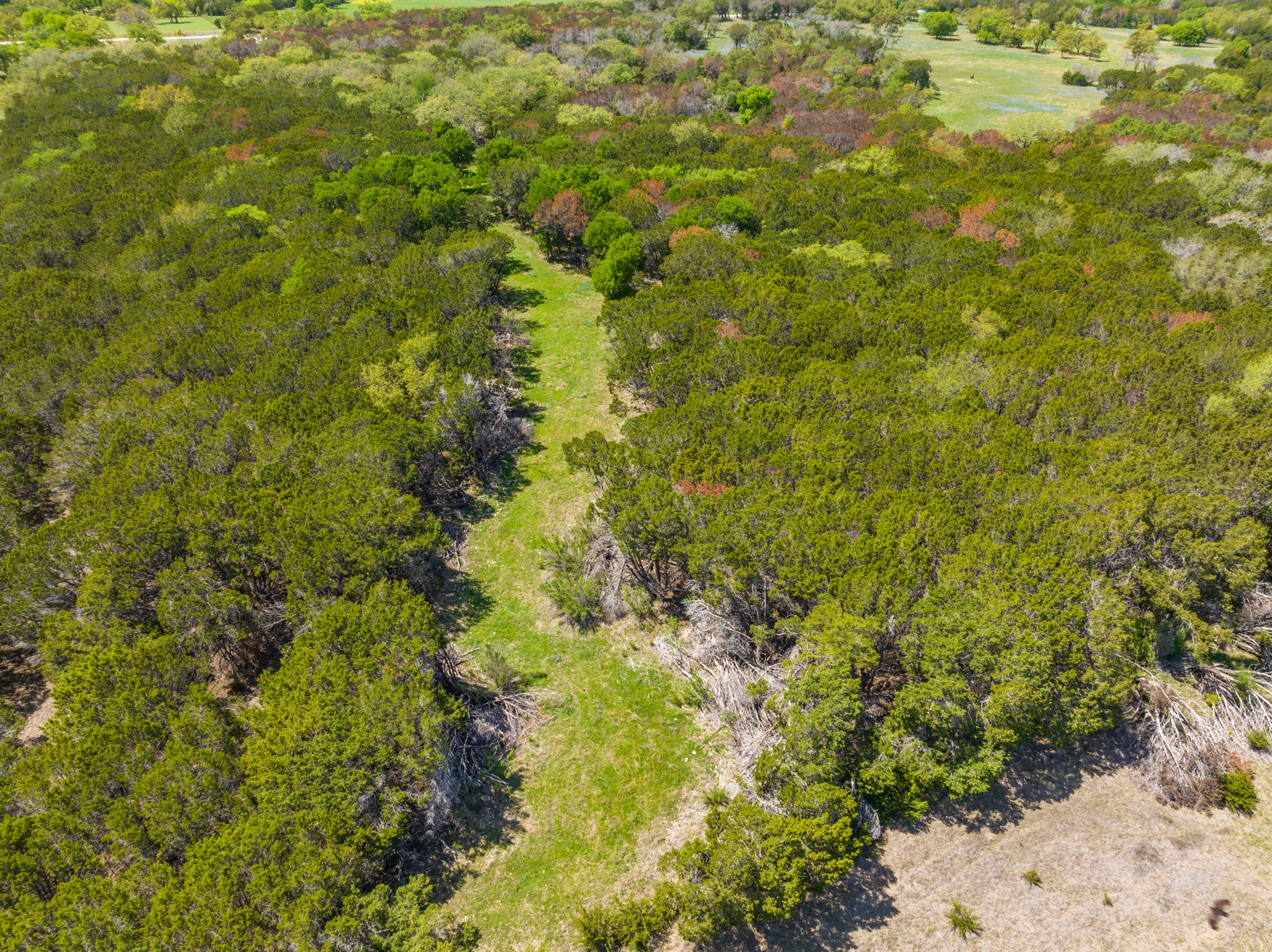 TBD County Road 2140 , Iredell, TX, 76649 | 20295586 | Realty Texas LLC