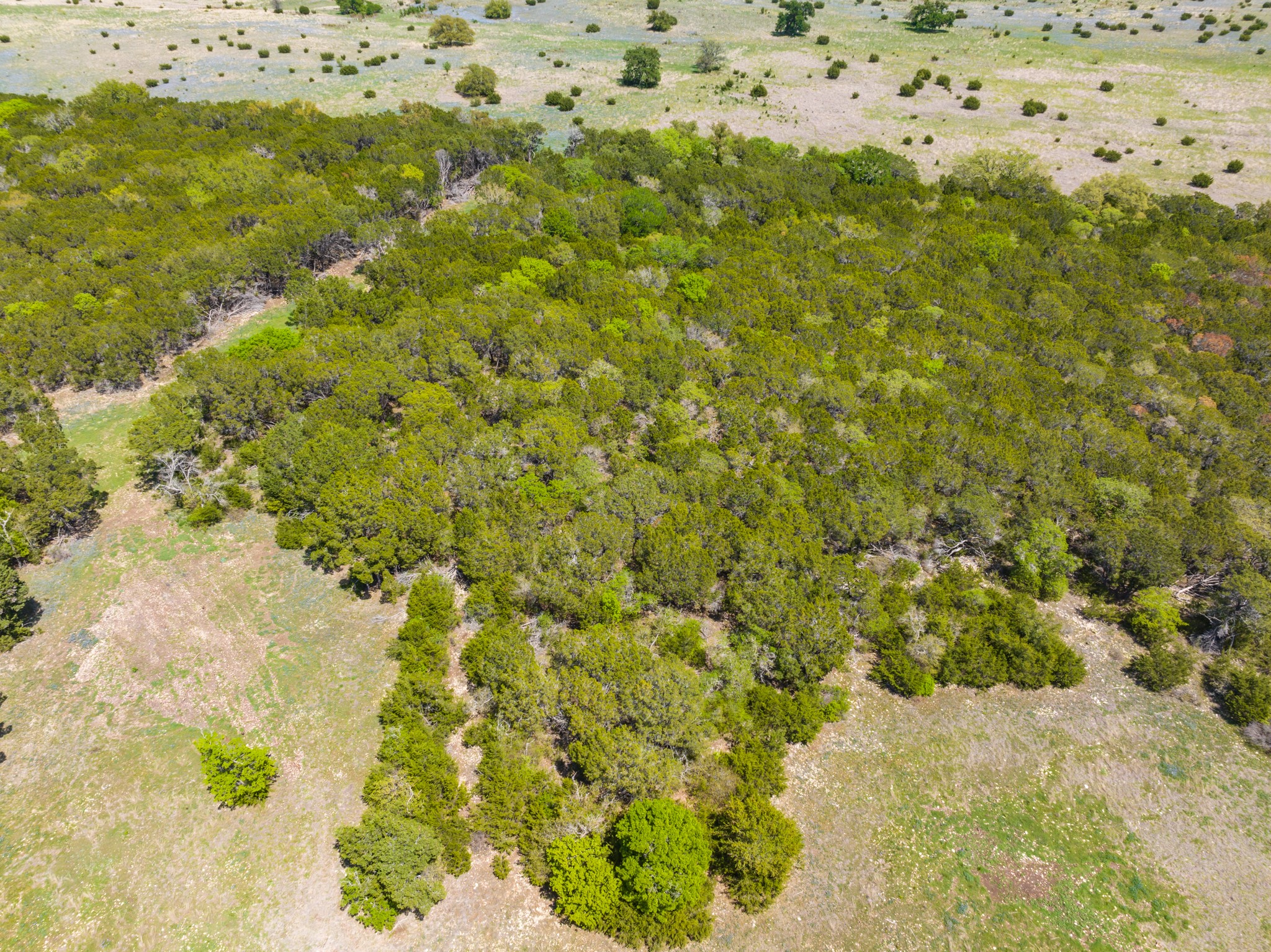 TBD County Road 2140 , Iredell, TX, 76649 | 20295586 | Realty Texas LLC