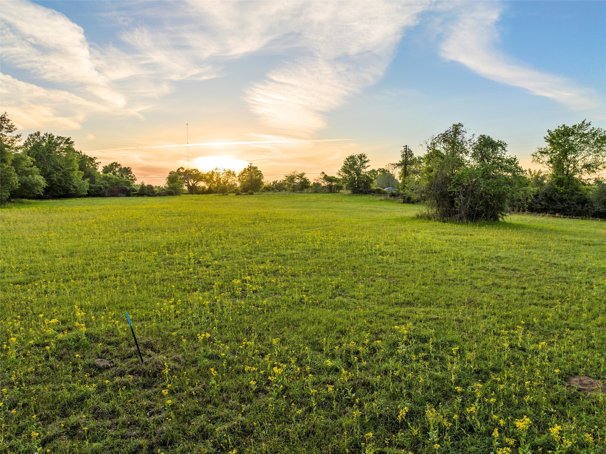 Lot 4 Lcr 740 , Thornton, TX, 76687 | 58451778 | Realty Texas LLC